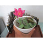 8856